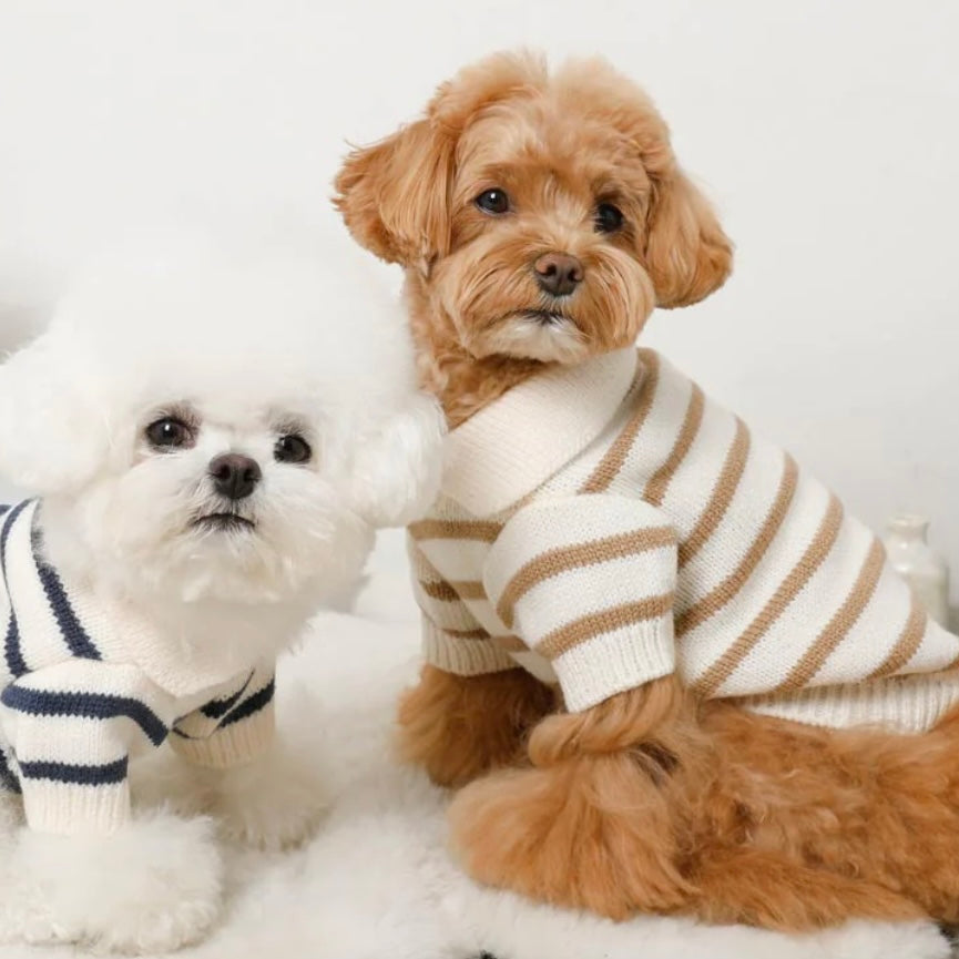 KNIT TOPS WITH BORDER COLLAR