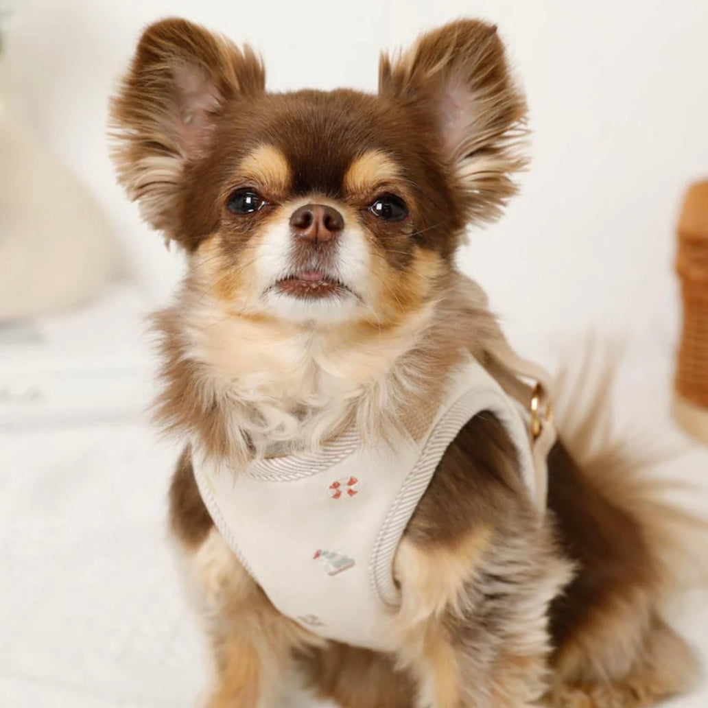 THE CAPE MARINE PATTERN EMBROIDERY HARNESS + LEAD