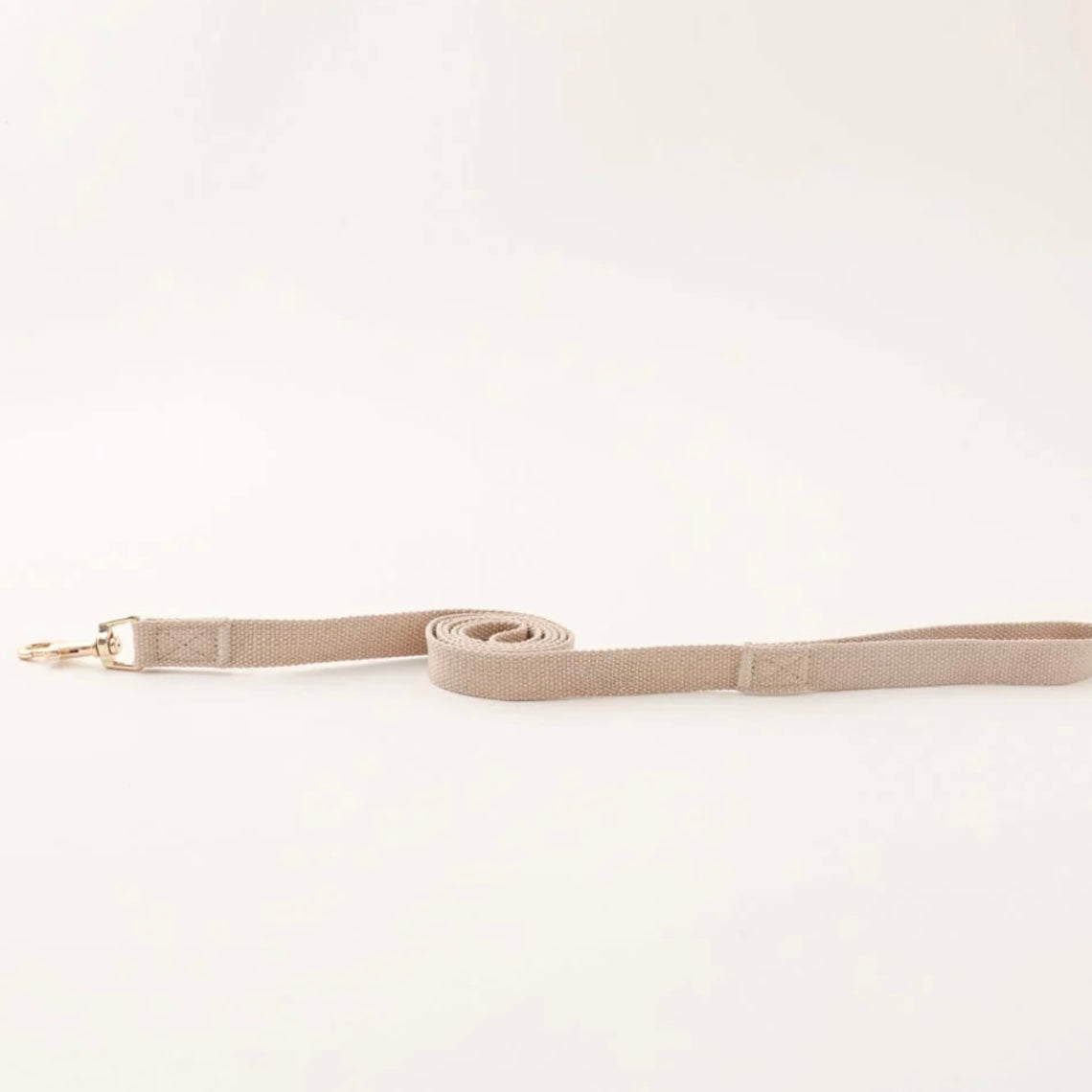 BEAR GINGHAM CHECK HARNESS + LEAD