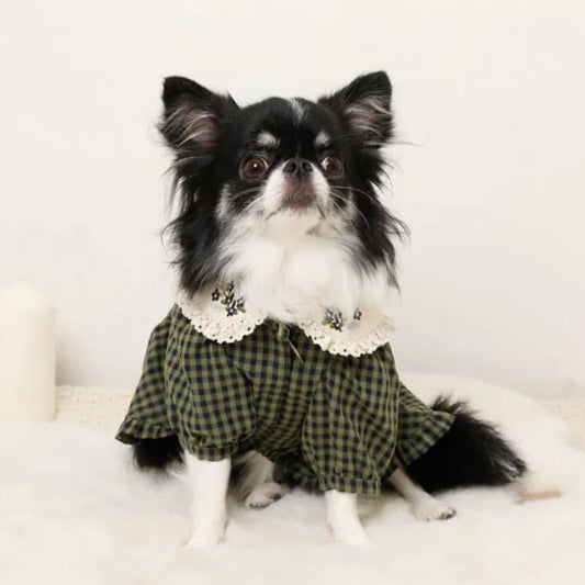 GINGHAM CHECK DRESS WITH FLOWER COLLAR EMBROIDERY