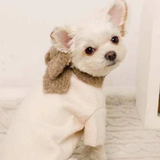 KNIT TOP WITH RIBBON