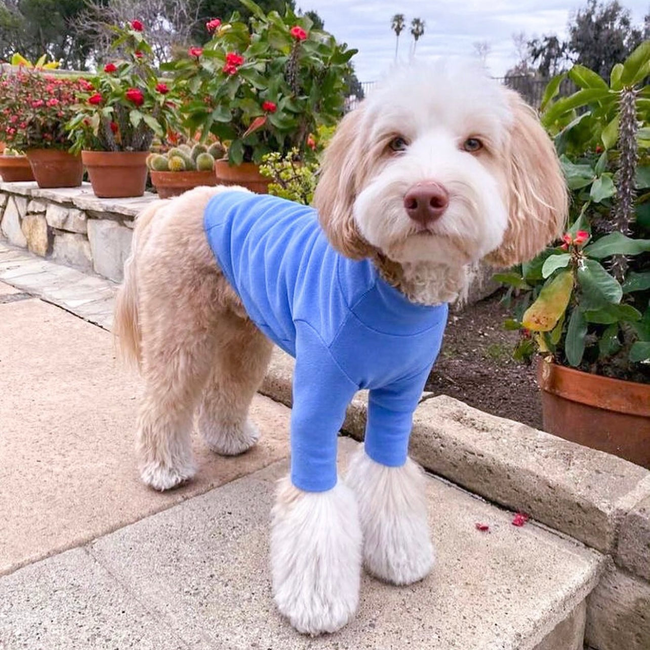 BLUE TURTLENECK TEE