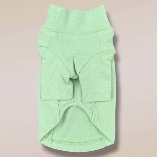 SPRING MINT TURTLENECK TEE