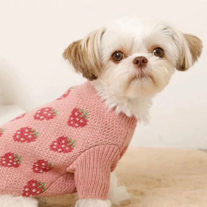 STRAWBERRY PATTERN KNIT TOP