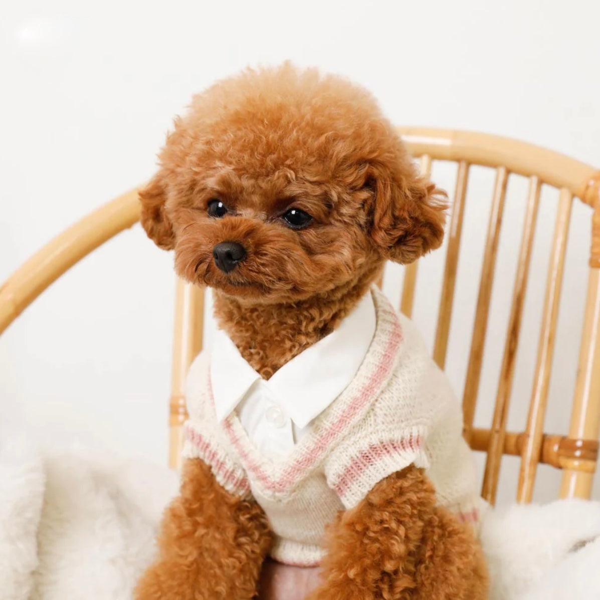 ARGYLE KNIT SWEATER VEST