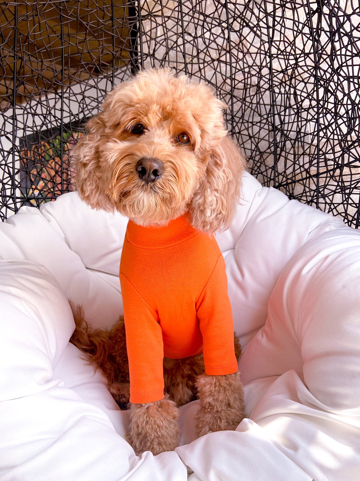 ORANGE TURTLENECK TEE