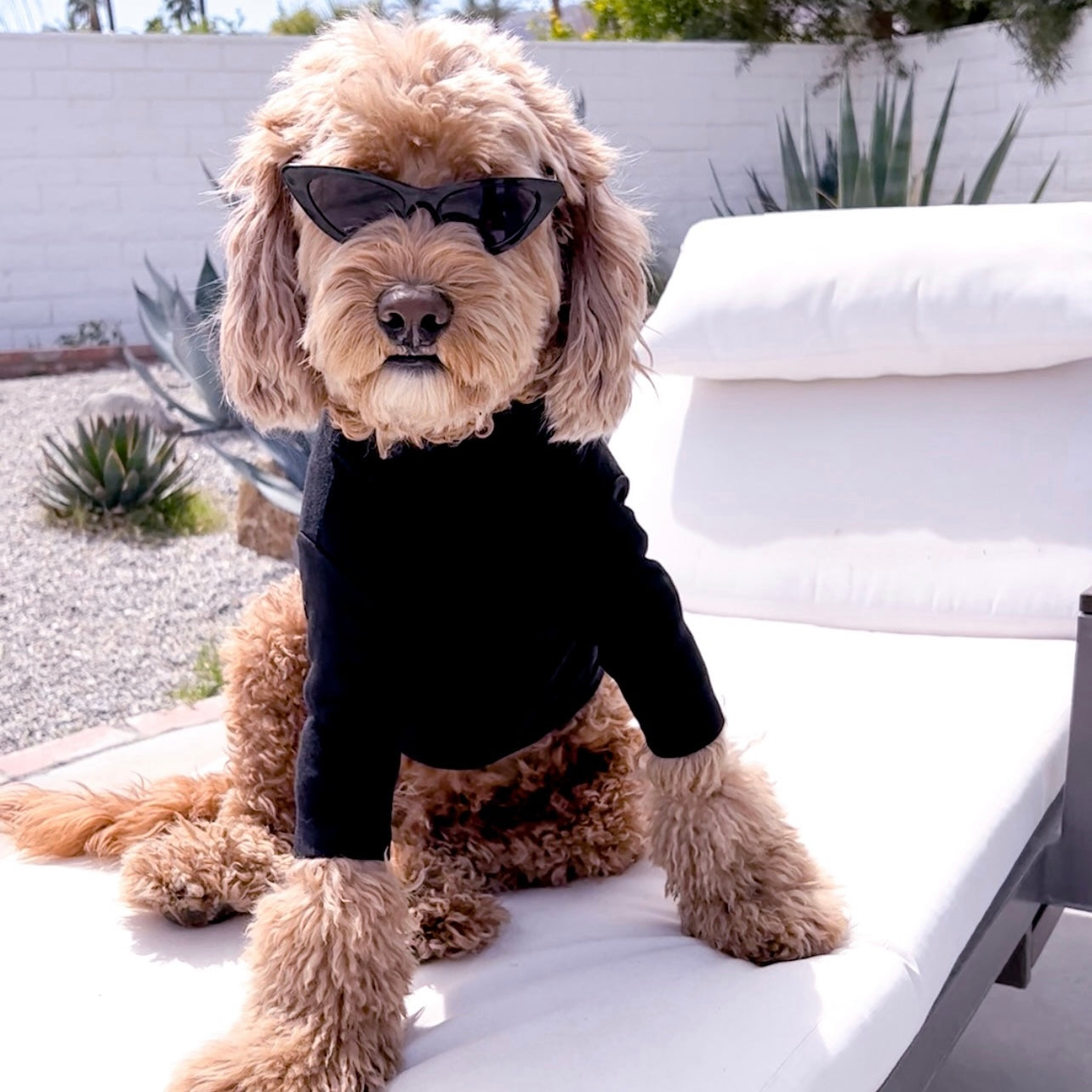 BLACK TURTLENECK TEE