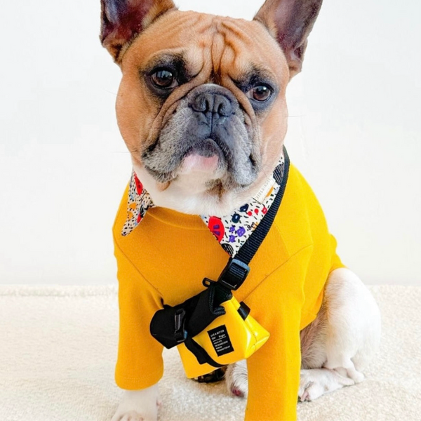 GOLD TURTLENECK TEE – ARCHIE AND WINSTON DOG GOODS