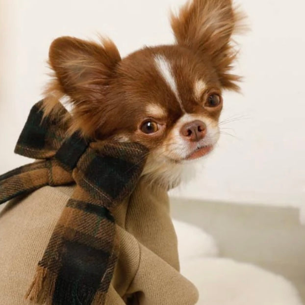 PULLOVER WITH PLAID SCARF