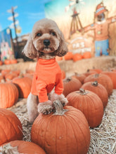 Load image into Gallery viewer, ORANGE TURTLENECK TEE