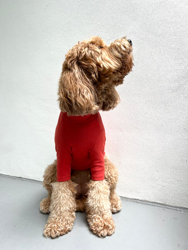 RUST TURTLENECK TEE by Archie & Winston