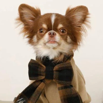 PULLOVER WITH PLAID SCARF