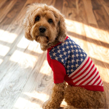 Load image into Gallery viewer, All-American Sweater