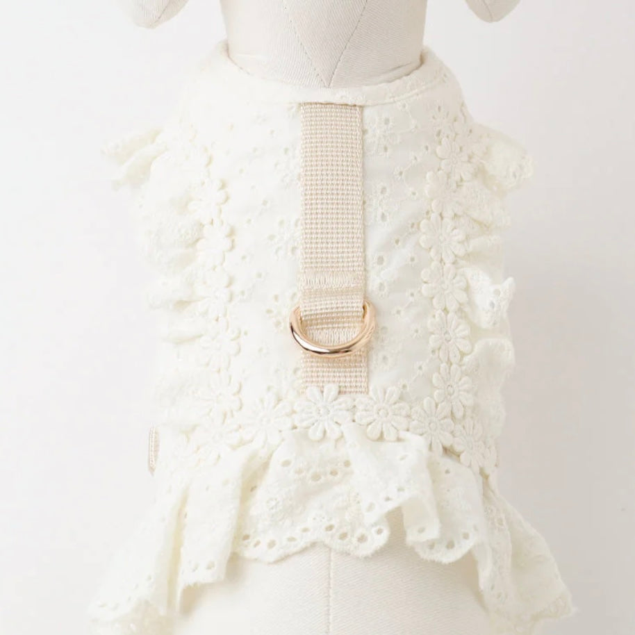 COTTEN LACE RUFFLE HARNESS + LEAD