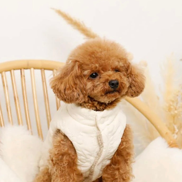 REVERSIBLE RIBBON VEST