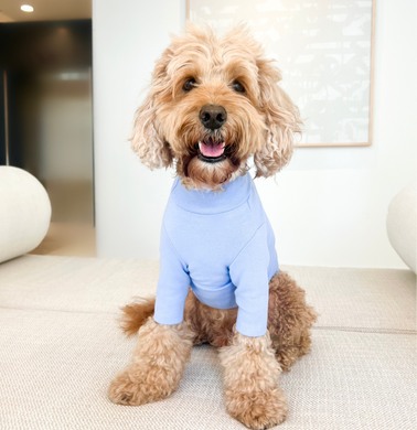 PERIWINKLE TURTLENECK TEE