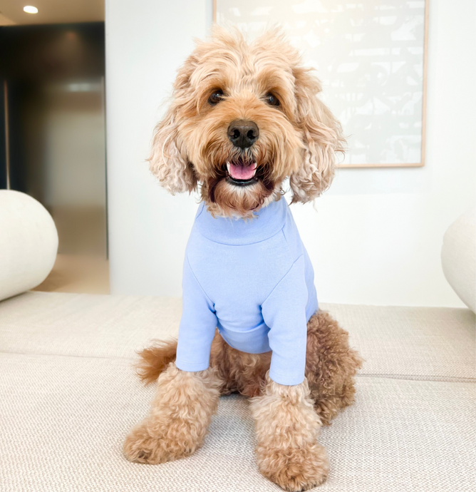 PERIWINKLE TURTLENECK TEE