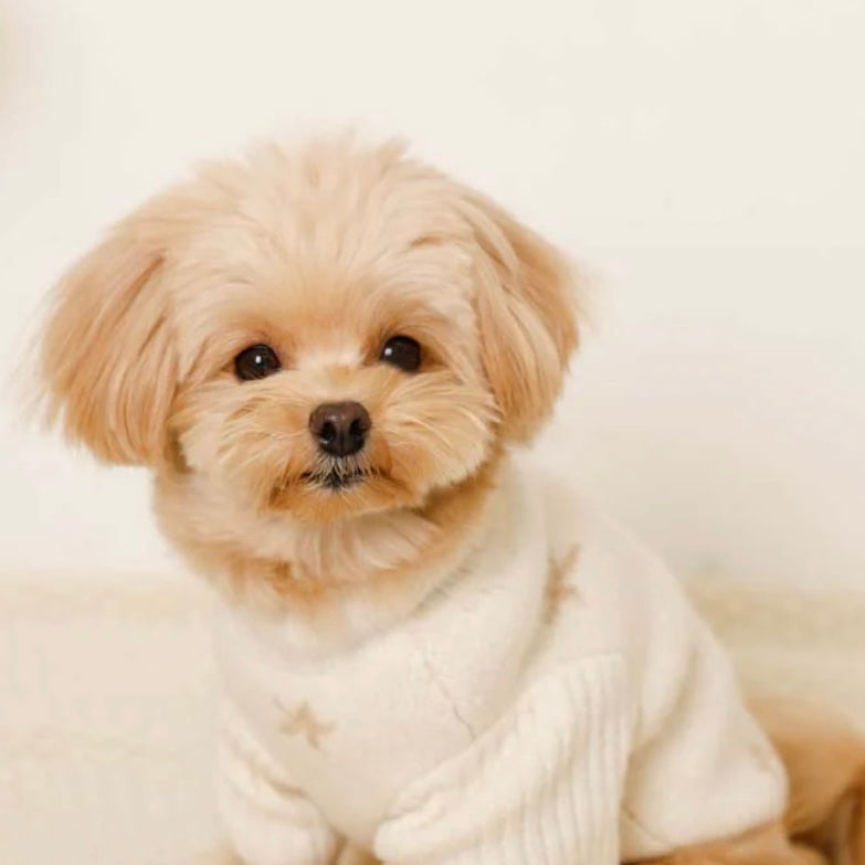 MOON HIGH NECK KNIT SWEATER