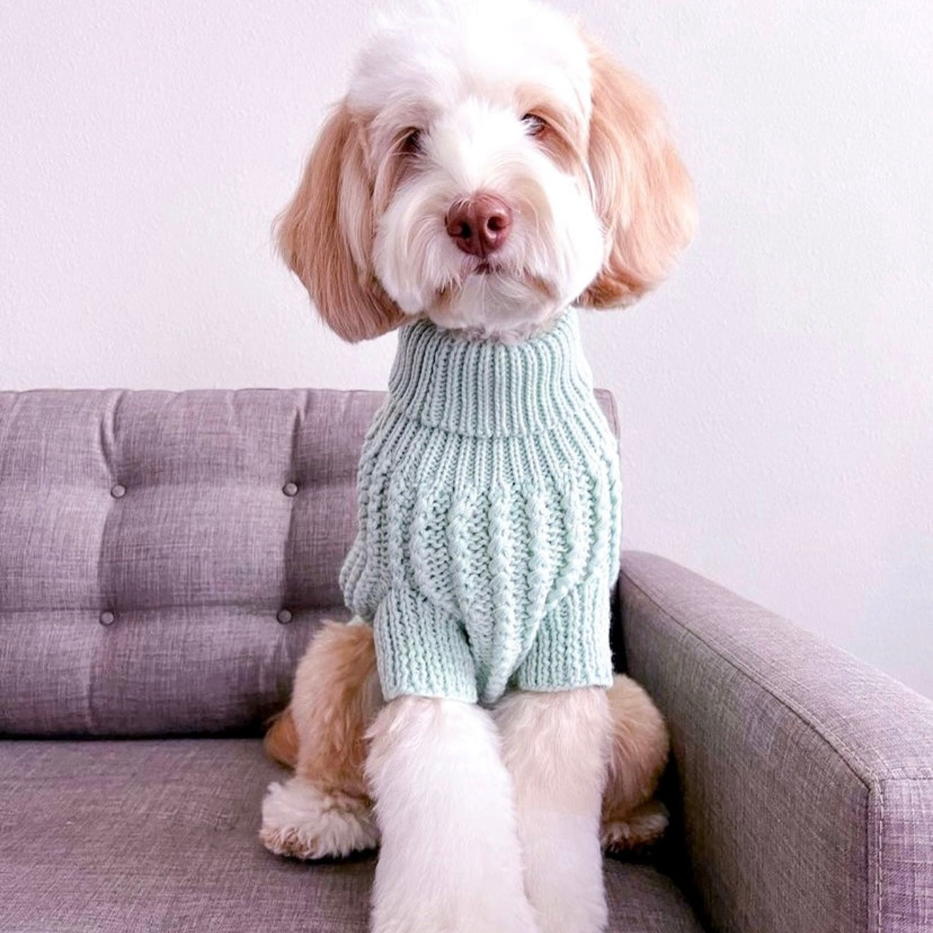 MINT HAND KNITTED SWEATER by Archie & Winston