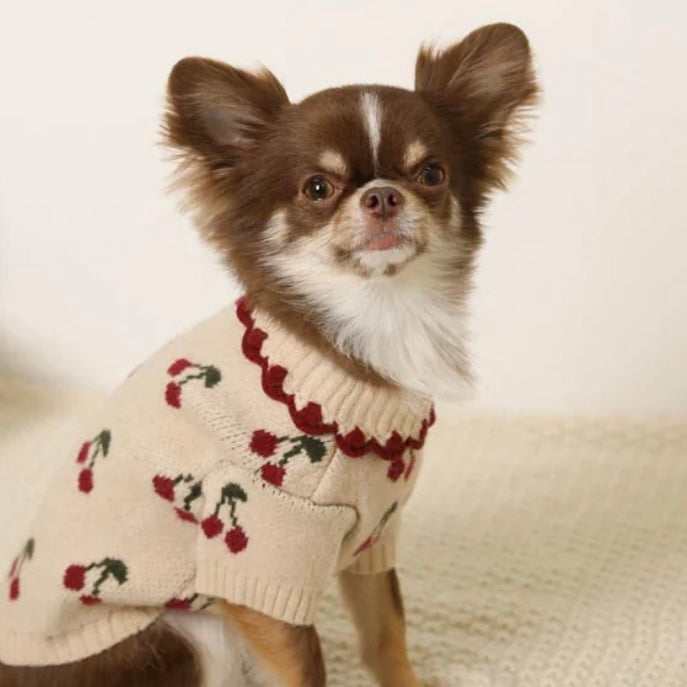 RUFFLED NECKLACE CHERRY SWEATER