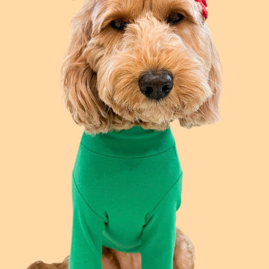 GREEN TURTLENECK TEE
