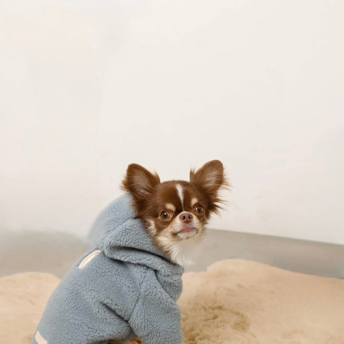 FLEECE JACKET WITH HOOD