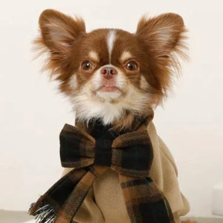 PULLOVER WITH PLAID SCARF