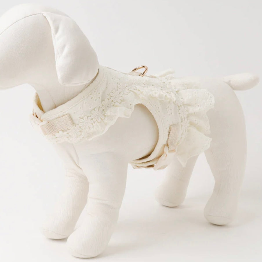 COTTEN LACE RUFFLE HARNESS + LEAD