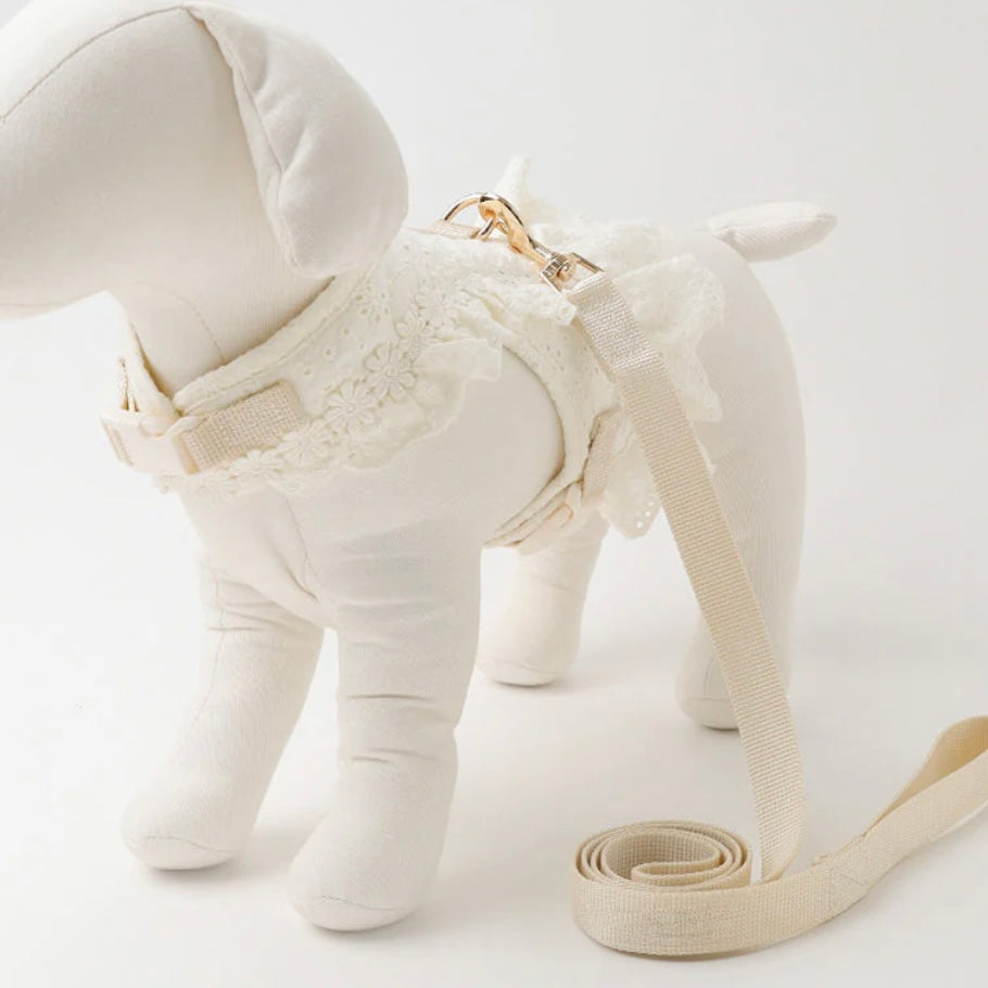 COTTEN LACE RUFFLE HARNESS + LEAD