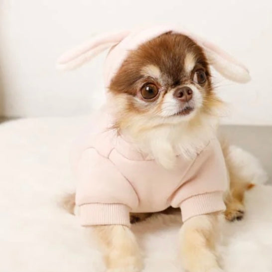 BUNNY HOODIE
