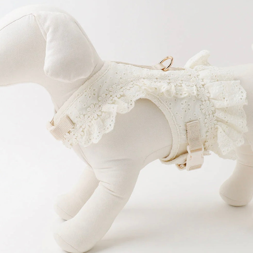 COTTEN LACE RUFFLE HARNESS + LEAD