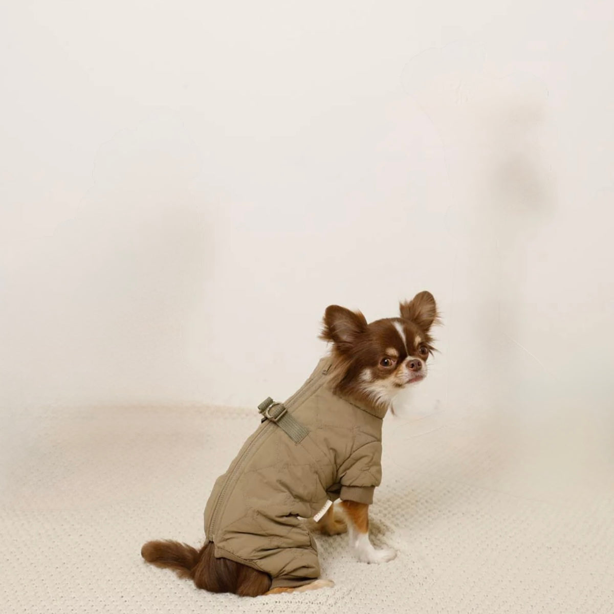 STAR PATTERN QUILTED HARNESS