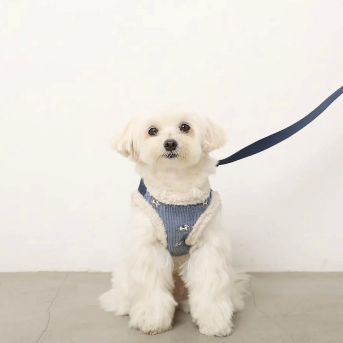 CORDUROY BORE HARNESS WITH WOODEN HORSE EMBROIDERY + LEAD