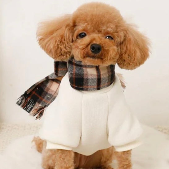 PULLOVER WITH PLAID SCARF