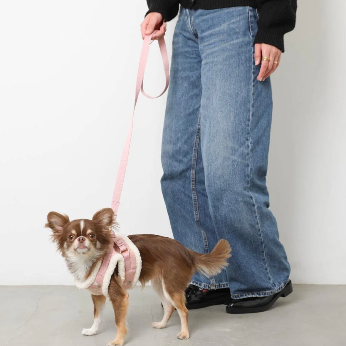 TULIP EMBROIDERY HARNESS + LEAD