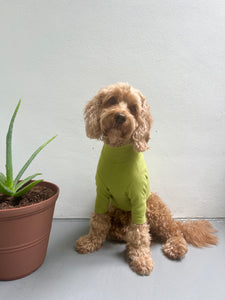 OLIVE TURTLENECK TEE by Archie & Winston