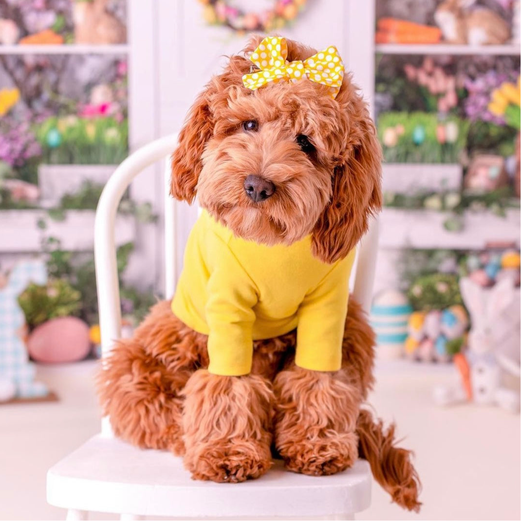 YELLOW TURTLENECK TEE