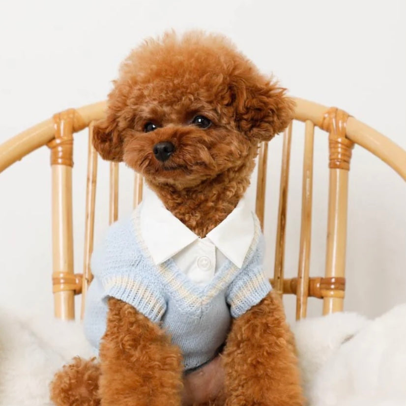 ARGYLE KNIT SWEATER VEST