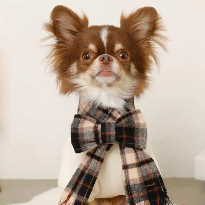 PULLOVER WITH PLAID SCARF