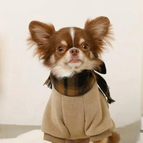 PULLOVER WITH PLAID SCARF