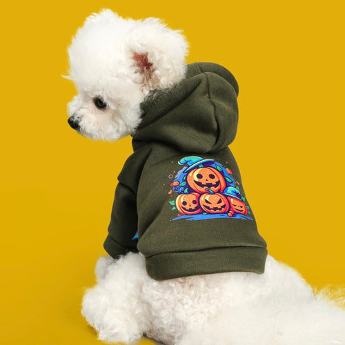 PUMPKIN SWEATSHIRT