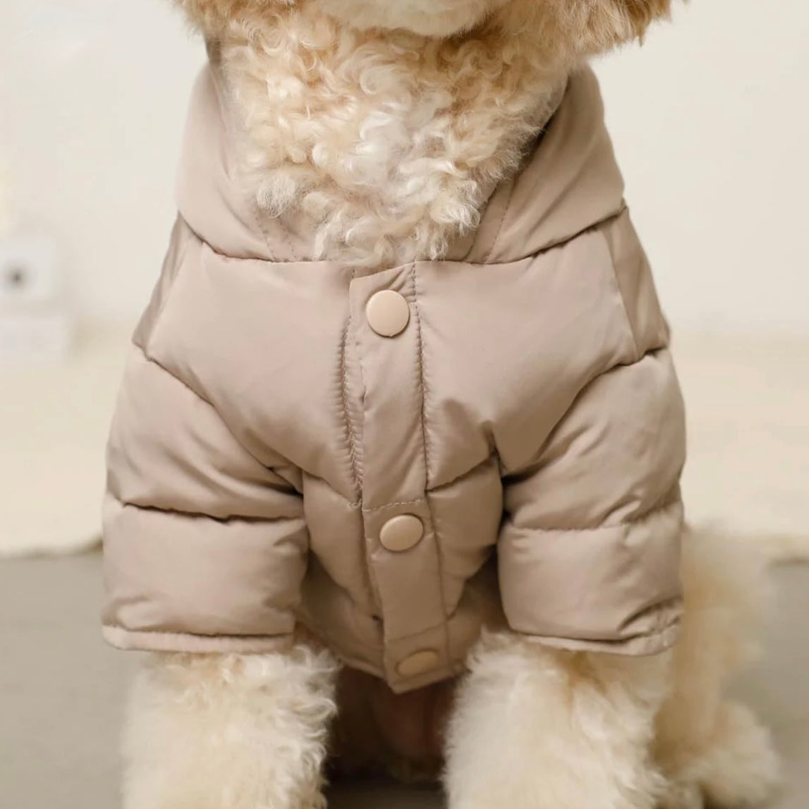 PUFFER JACKET IWTH HOOD AND POCKETS