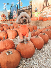 Load image into Gallery viewer, ORANGE TURTLENECK TEE