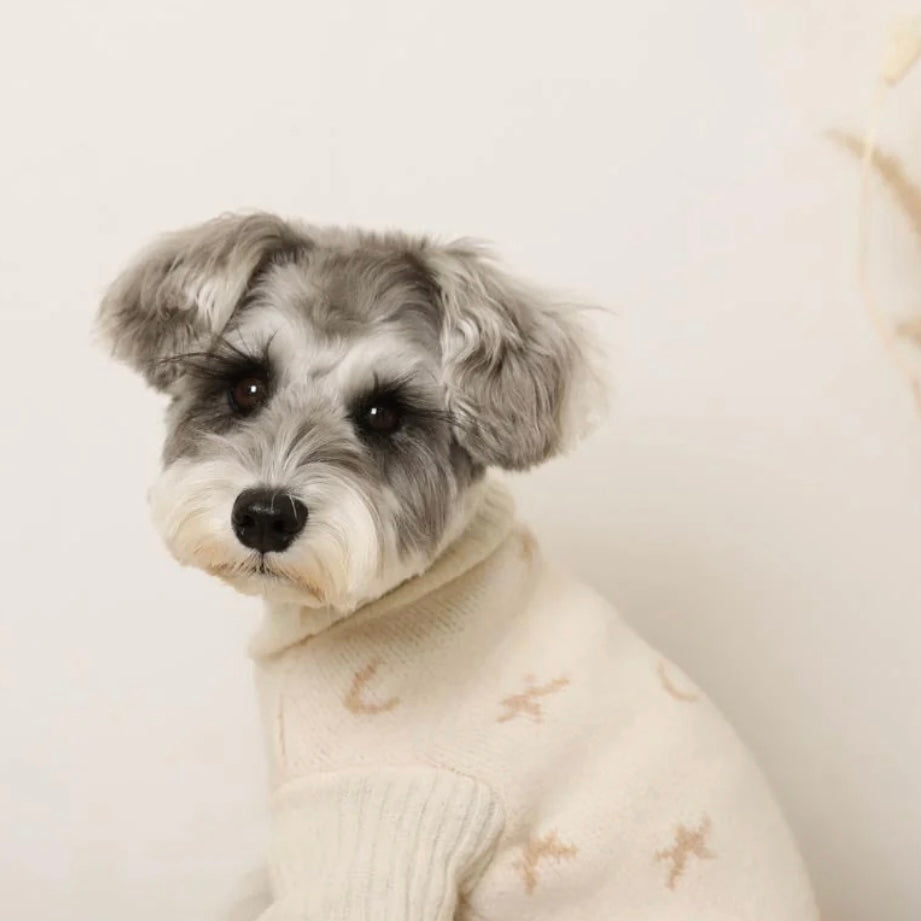 MOON HIGH NECK KNIT SWEATER