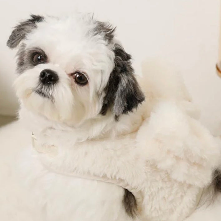 BIG RIBBON FUR HARNESS + LEAD