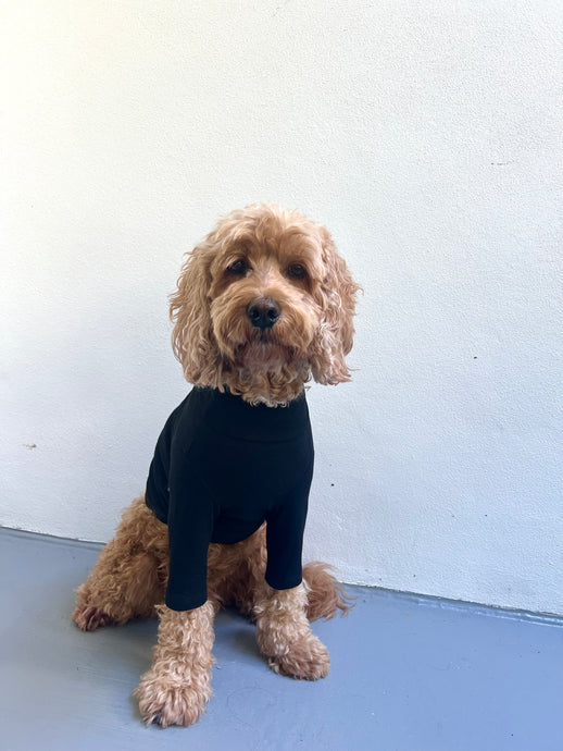 BLACK TURTLENECK TEE by Archie & Winston