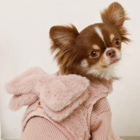 BIG RIBBON FUR HARNESS + LEAD