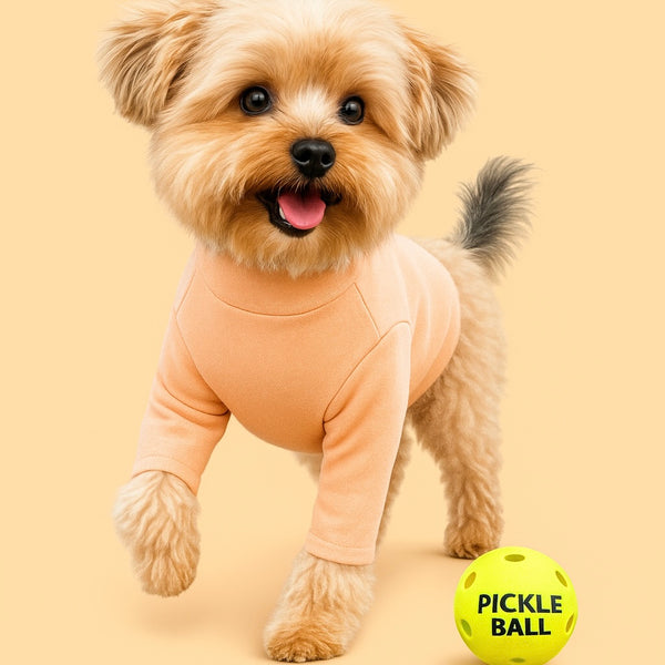BUSHING PEACH TURTLENECK TEE – ARCHIE AND WINSTON DOG GOODS