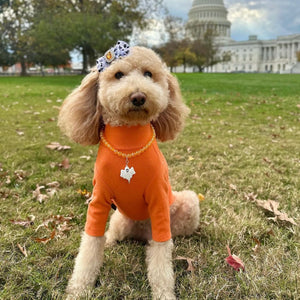 ORANGE TURTLENECK TEE