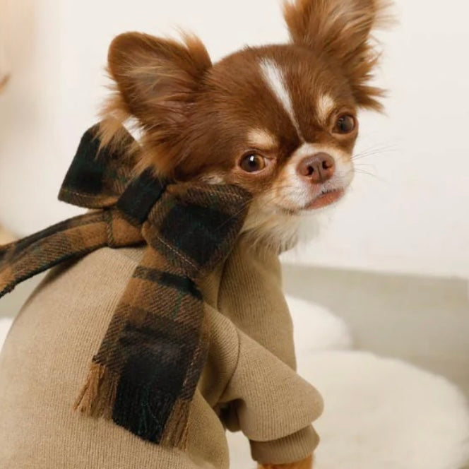 PULLOVER WITH PLAID SCARF